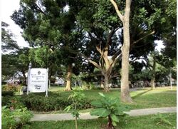 West Coast Gardens (D5), Semi-Detached #613724541